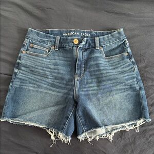 American Eagle Denim Shorts size: US:10